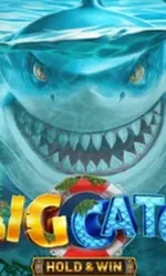 A Big Catch - Hold & Win
