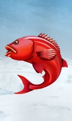 Ice Fishing